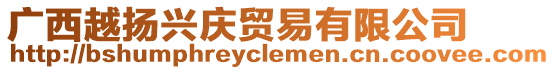 廣西越揚(yáng)興慶貿(mào)易有限公司