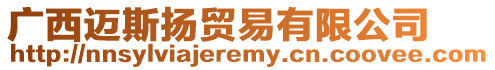 廣西邁斯揚貿易有限公司