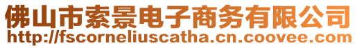 佛山市索景電子商務有限公司