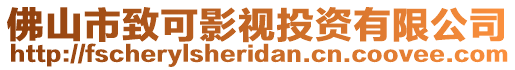 佛山市致可影視投資有限公司