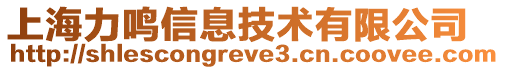 上海力鳴信息技術(shù)有限公司