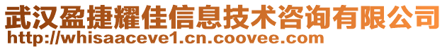 武漢盈捷耀佳信息技術(shù)咨詢(xún)有限公司