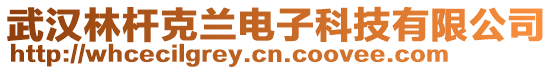 武漢林桿克蘭電子科技有限公司