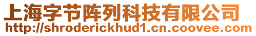 上海字節(jié)陣列科技有限公司