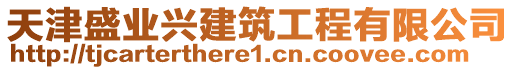 天津盛業(yè)興建筑工程有限公司