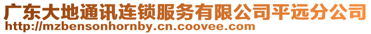 廣東大地通訊連鎖服務(wù)有限公司平遠(yuǎn)分公司