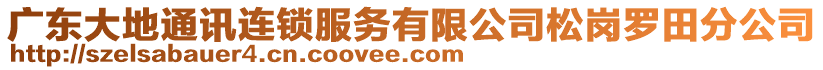 廣東大地通訊連鎖服務有限公司松崗羅田分公司