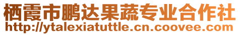 棲霞市鵬達(dá)果蔬專業(yè)合作社