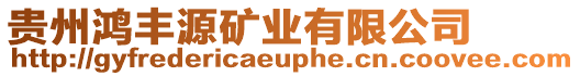 貴州鴻豐源礦業有限公司
