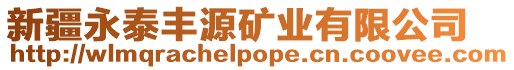 新疆永泰豐源礦業(yè)有限公司