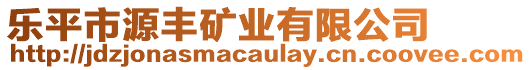 樂平市源豐礦業(yè)有限公司