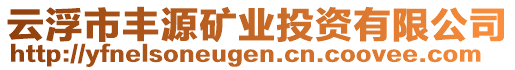 云浮市豐源礦業(yè)投資有限公司