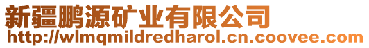 新疆鵬源礦業(yè)有限公司