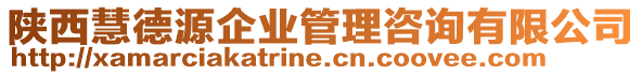 陜西慧德源企業(yè)管理咨詢有限公司