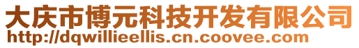 大慶市博元科技開(kāi)發(fā)有限公司