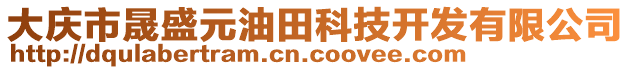 大慶市晟盛元油田科技開發(fā)有限公司