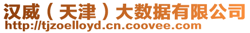 漢威（天津）大數(shù)據(jù)有限公司