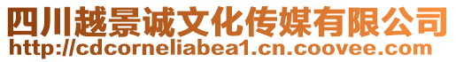 四川越景誠(chéng)文化傳媒有限公司