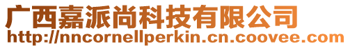 廣西嘉派尚科技有限公司