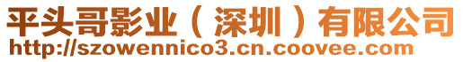 平頭哥影業(yè)（深圳）有限公司