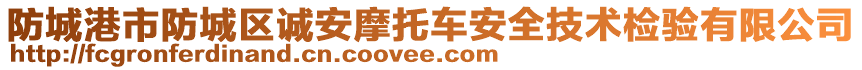 防城港市防城區(qū)誠安摩托車安全技術(shù)檢驗有限公司