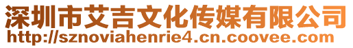 深圳市艾吉文化傳媒有限公司