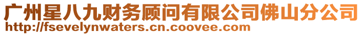 廣州星八九財(cái)務(wù)顧問(wèn)有限公司佛山分公司