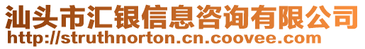 汕頭市匯銀信息咨詢有限公司