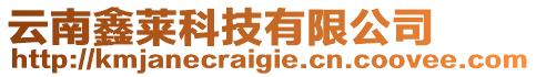 云南鑫萊科技有限公司
