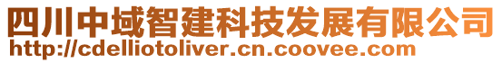 四川中域智建科技發(fā)展有限公司