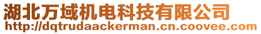 湖北萬域機電科技有限公司