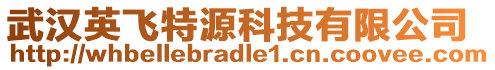 武漢英飛特源科技有限公司