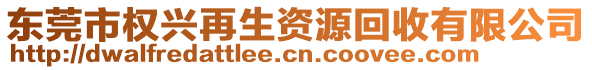 東莞市權(quán)興再生資源回收有限公司