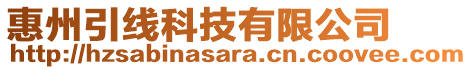 惠州引線科技有限公司