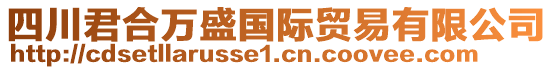 四川君合萬(wàn)盛國(guó)際貿(mào)易有限公司