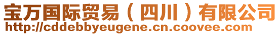 寶萬國際貿(mào)易(四川)有限公司