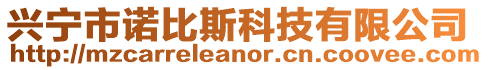 興寧市諾比斯科技有限公司