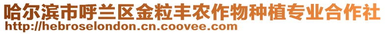 哈爾濱市呼蘭區(qū)金粒豐農(nóng)作物種植專業(yè)合作社
