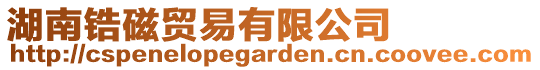 湖南鋯磁貿易有限公司