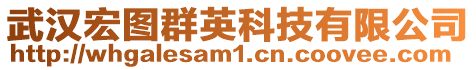 武漢宏圖群英科技有限公司