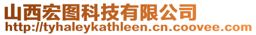 山西宏圖科技有限公司
