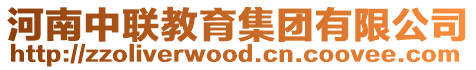 河南中聯教育集團有限公司