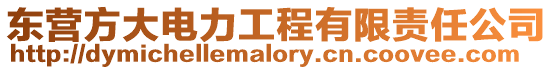 東營方大電力工程有限責任公司