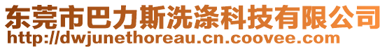 東莞市巴力斯洗滌科技有限公司