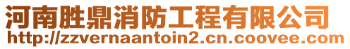 河南勝鼎消防工程有限公司