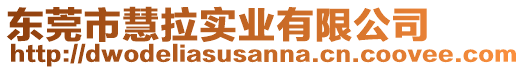 東莞市慧拉實業(yè)有限公司