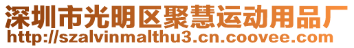 深圳市光明區聚慧運動用品廠