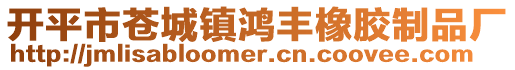 開平市蒼城鎮鴻豐橡膠制品廠