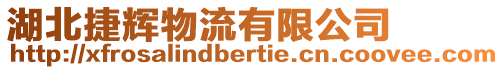 湖北捷輝物流有限公司