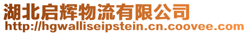 湖北啟輝物流有限公司